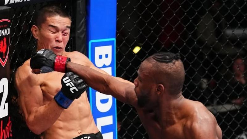 World Boxing ұйымы бокс ережесін өзгертпек