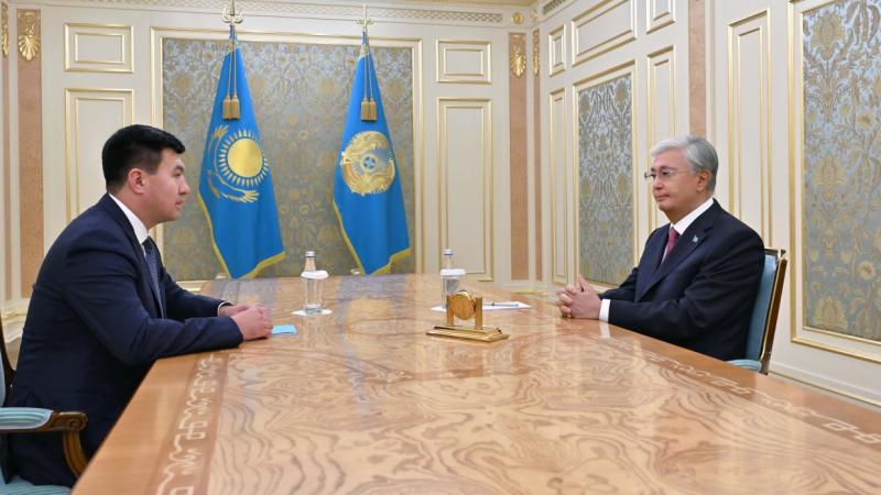 Мемлекет басшысы Қазақстан бокс федерациясының президентін қабылдады