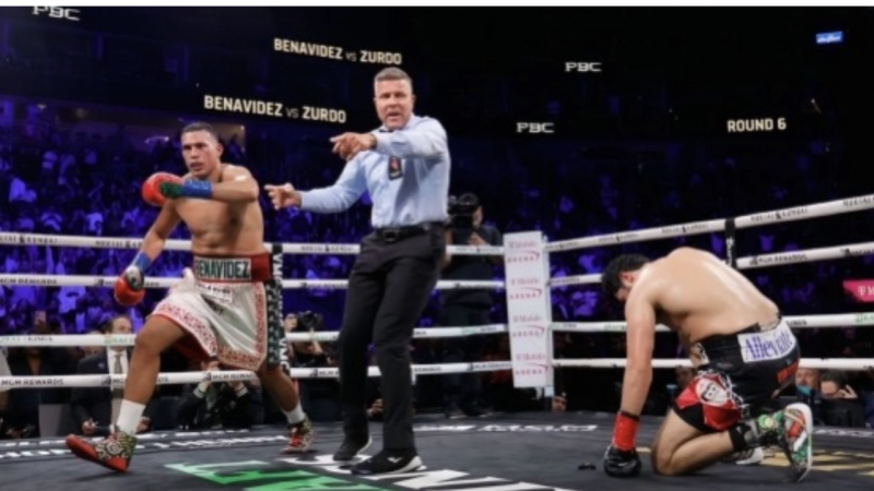 Бенавидес WBA және WBO титулдарының иегері атанды