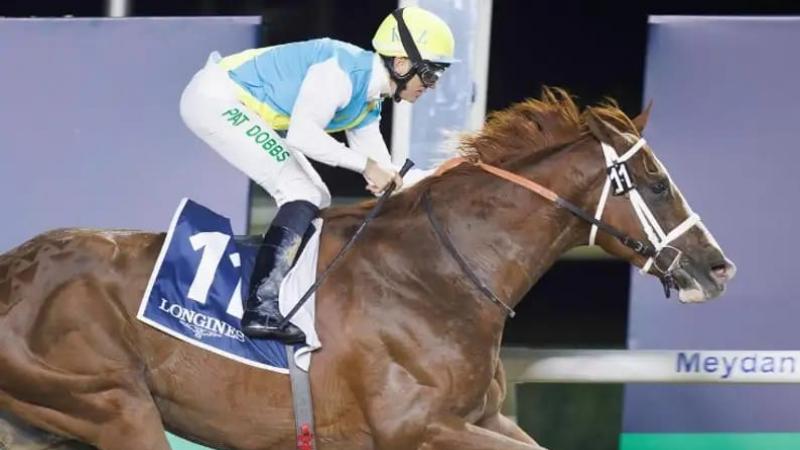 Қайрат Нұрдәулетов «Жетісу» клубына не жетіспейтінін айтты