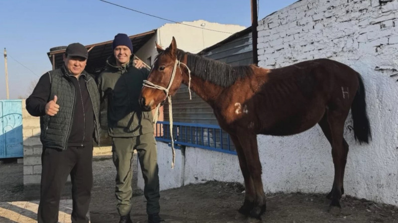 Мұхамеджан Сейсенге белгілі көпаршы тұлпар сыйлады